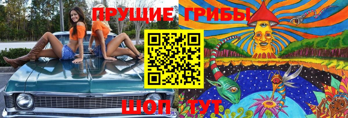Псилоцибиновые грибы Cubensis  Вход с VPN  Скопин 